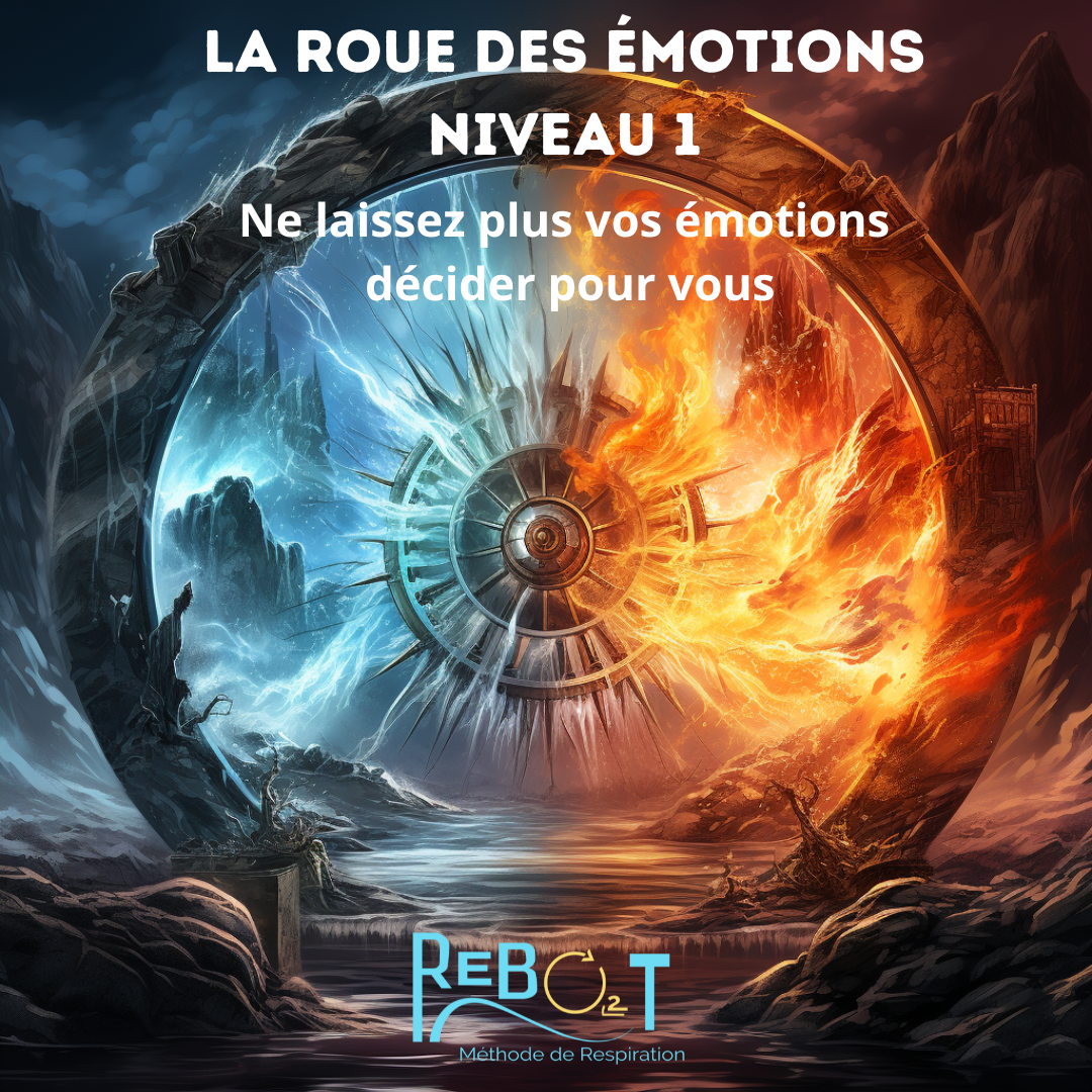 Ne laissez plus vos émotions décider pour vous