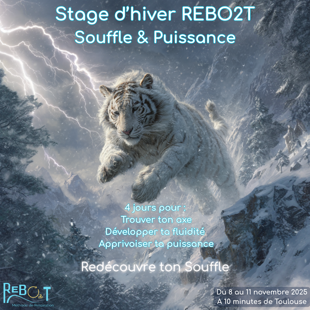 Stage hiver REBO2T 2025